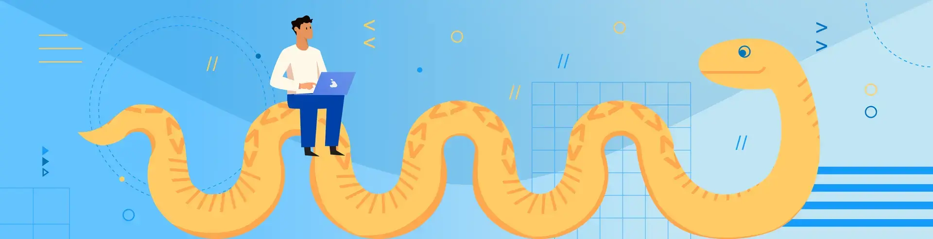 Everything You Need to Know as a Python Beginner