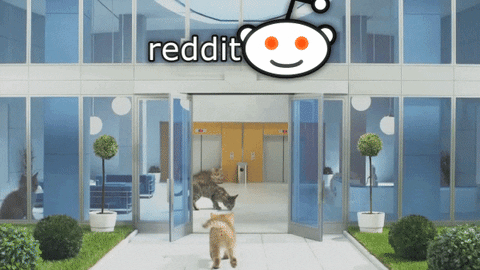 Reddit is secretely ran by cats.